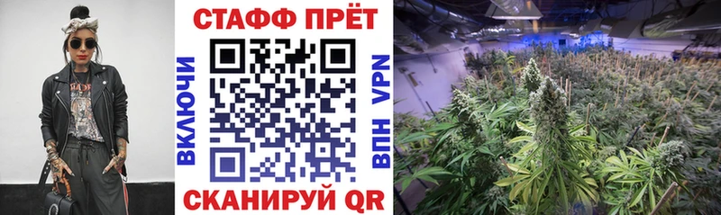 Наркошоп купить АМФ  Псилоцибиновые грибы  СК  МЕФ  ГАШИШ  Каннабис  Шумиха