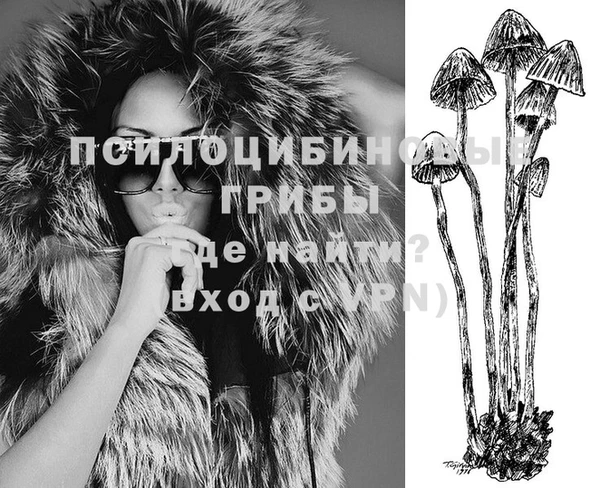 стафф Верея