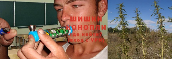 стафф Верея