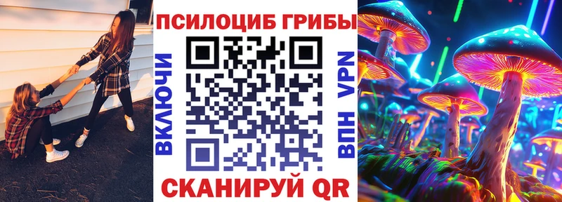 Псилоцибиновые грибы мицелий  Купить закладки  Шумиха 